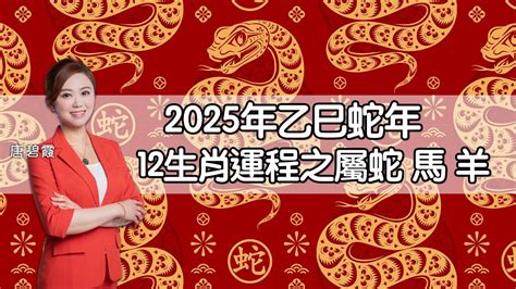 2025蛇年運程|2025蘇民峰生肖運程合集 蛇年十二生肖運勢重點 流年。